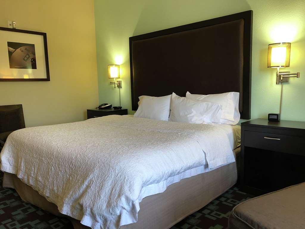 Hampton Inn & Suites Nashville At Opryland Phòng bức ảnh